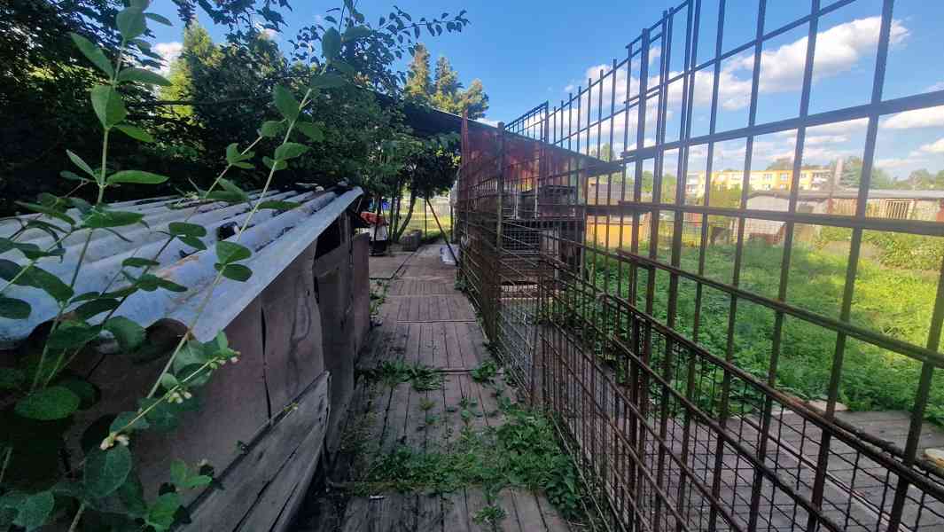 🏡 PRODEJ PROSTORNÉHO BYTU 4+1 📍 Vintířov u Sokolova - foto 21