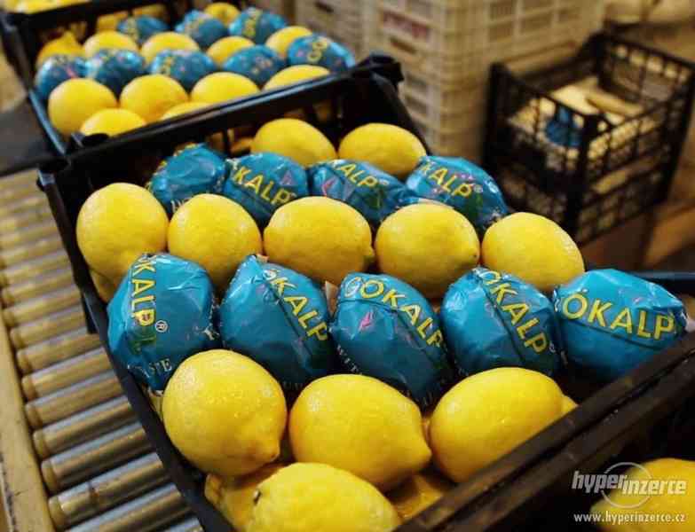 Čerstvé citrony  pôvod: Turecko  10 kg karton - foto 1