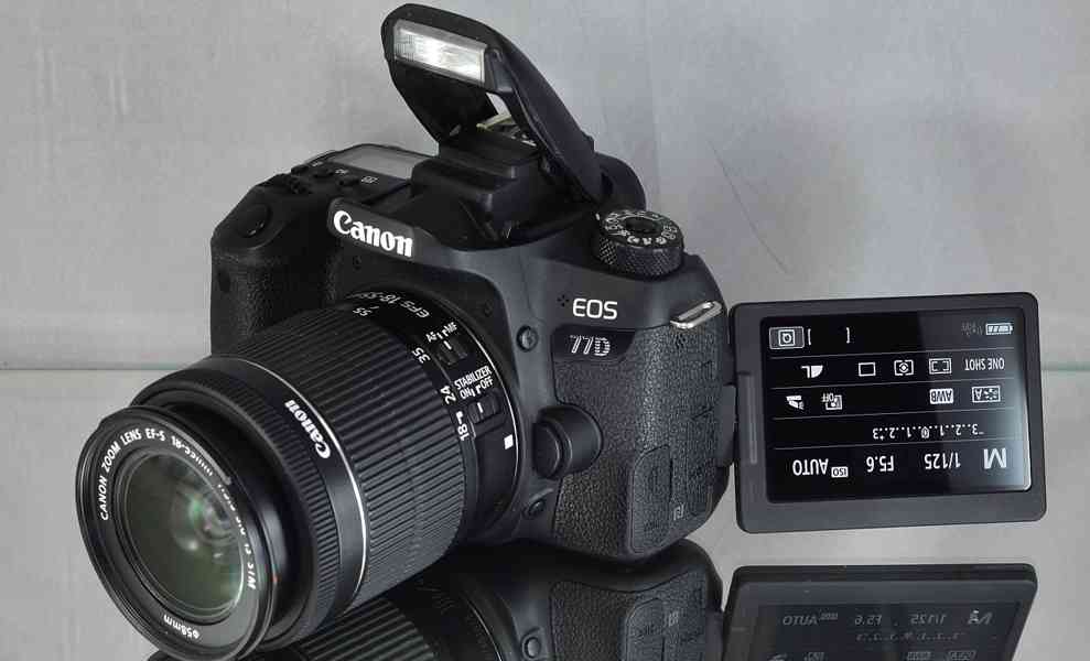Canon EOS 77D + EF-S 18-55mm IS STM * 6000 Exp - foto 7