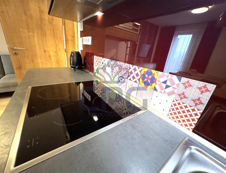 PRODEJ PLNĚ VYBAVENÉHO APARTMÁNU 1+KK NA DOLNÍ MORAVĚ - foto 7