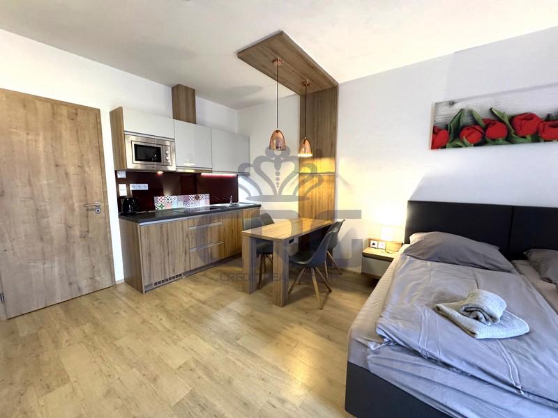 PRODEJ PLNĚ VYBAVENÉHO APARTMÁNU 1+KK NA DOLNÍ MORAVĚ - foto 5
