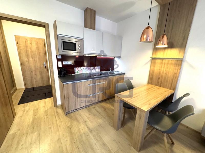 PRODEJ PLNĚ VYBAVENÉHO APARTMÁNU 1+KK NA DOLNÍ MORAVĚ - foto 10