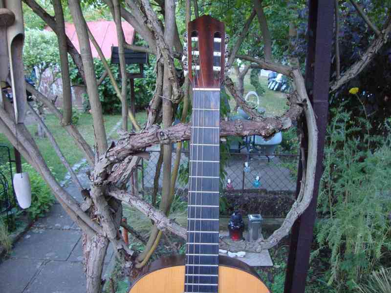 Klasická kytara AMADA model 4670 v pěkném stavu délka 98 cm - foto 3