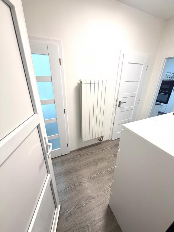 PRONÁJEM BYTU 1+1 O CP CCA 41,89 M² V BRNĚ – KRÁLOVĚ POLI - foto 10