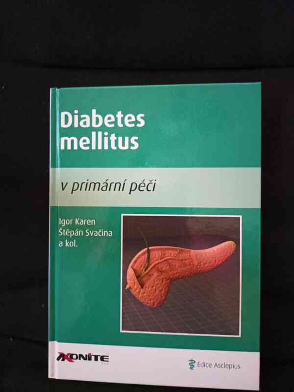 Diabetes mellitus v primární péči  - foto 1