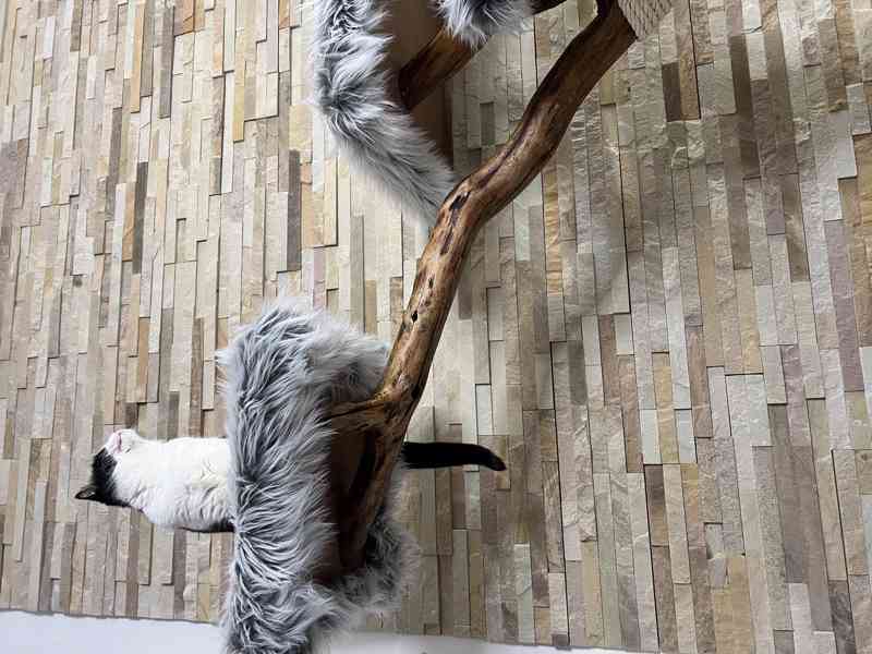 Škrabadlo pro kočky  - foto 4