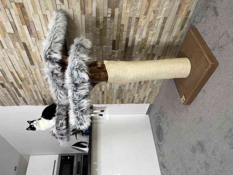 Škrabadlo pro kočky  - foto 3