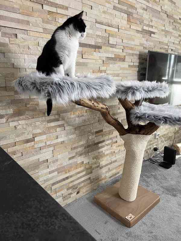 Škrabadlo pro kočky  - foto 2