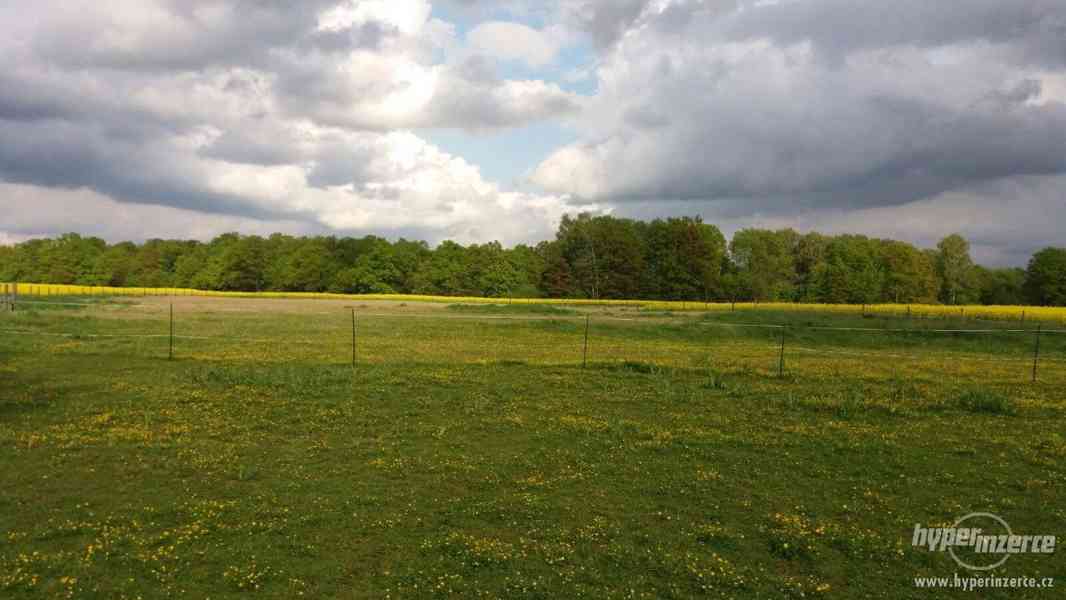 Nabízím ustájení - foto 2