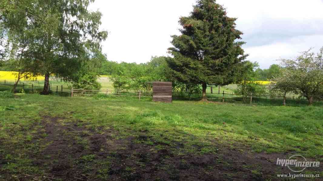 Nabízím ustájení - foto 5