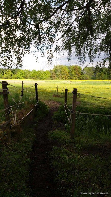 Nabízím ustájení - foto 6