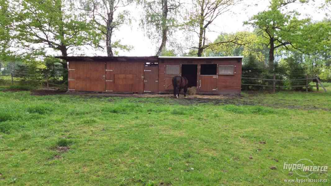 Nabízím ustájení - foto 7