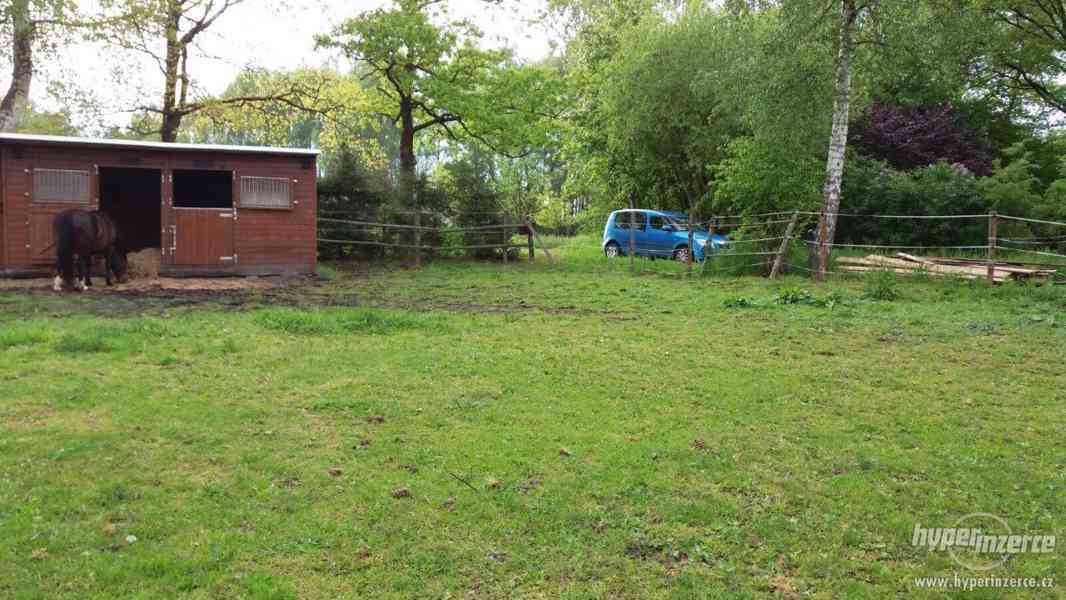 Nabízím ustájení - foto 8