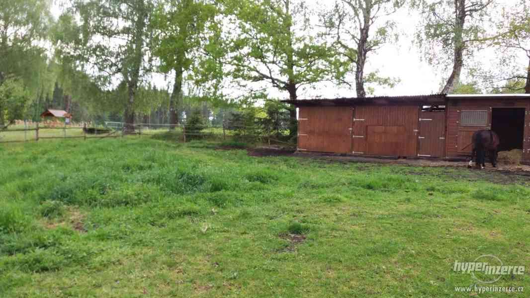 Nabízím ustájení - foto 9