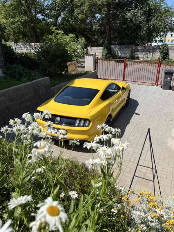 Mustang GT 5.0, nebouraný, cz původ, premium výbava, Kyjov - foto 3
