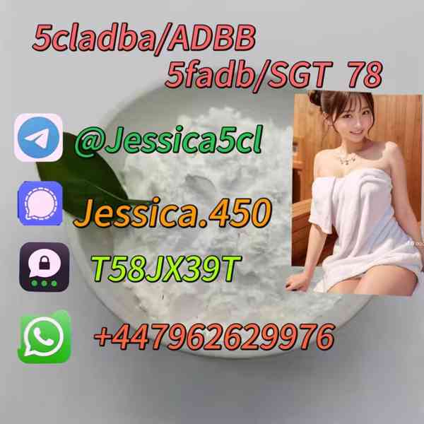 5F-ADB ADBB 5cladb precursor A-PVP 5cl rwa materials Shippin - foto 5
