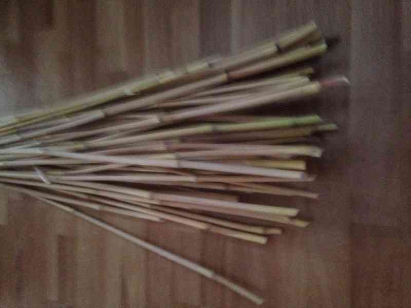 Bambusové tyče - foto 1
