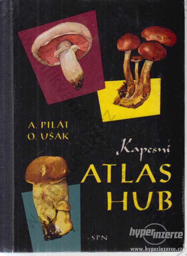 Atlas hub Albert Pilát, Otto Ušák 1964 - foto 1