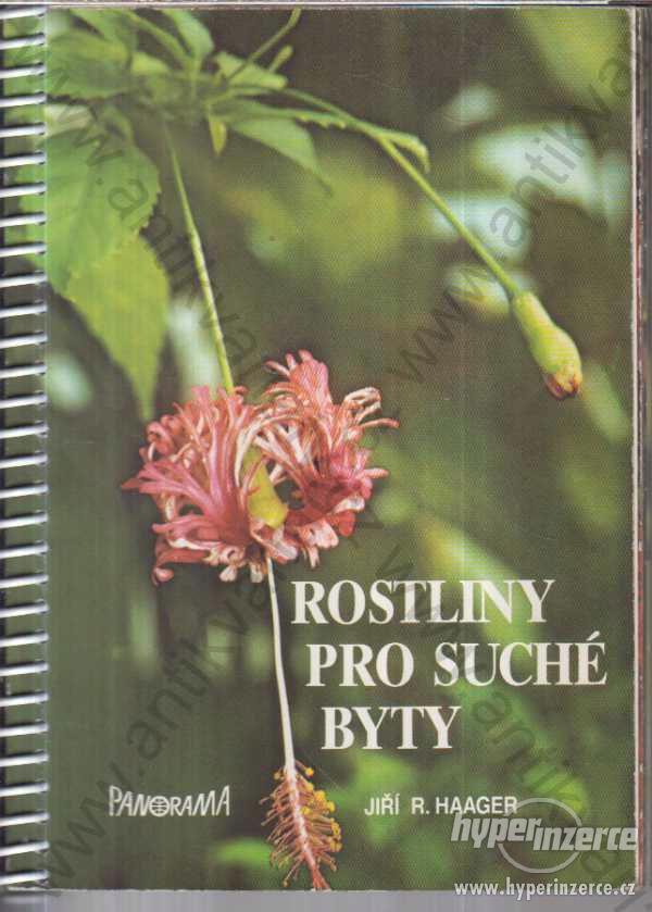 Rostliny pro suché byty J. R. Haager 1989 - foto 1