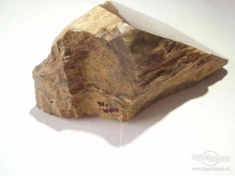 Zkamenělé dřevo - foto 4