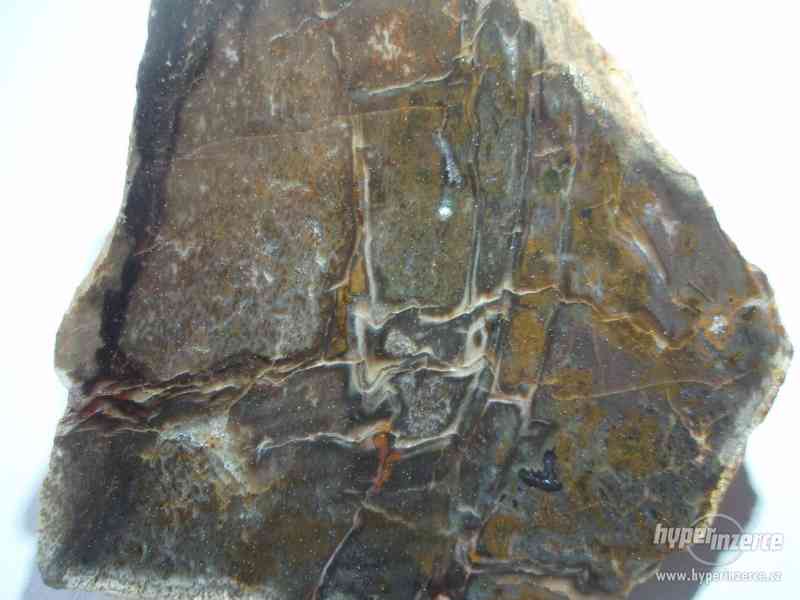 Zkamenělé dřevo - foto 7