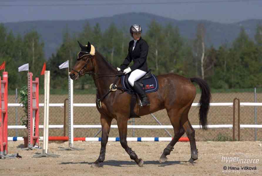 Kůň do sportu - SID 7 - foto 1