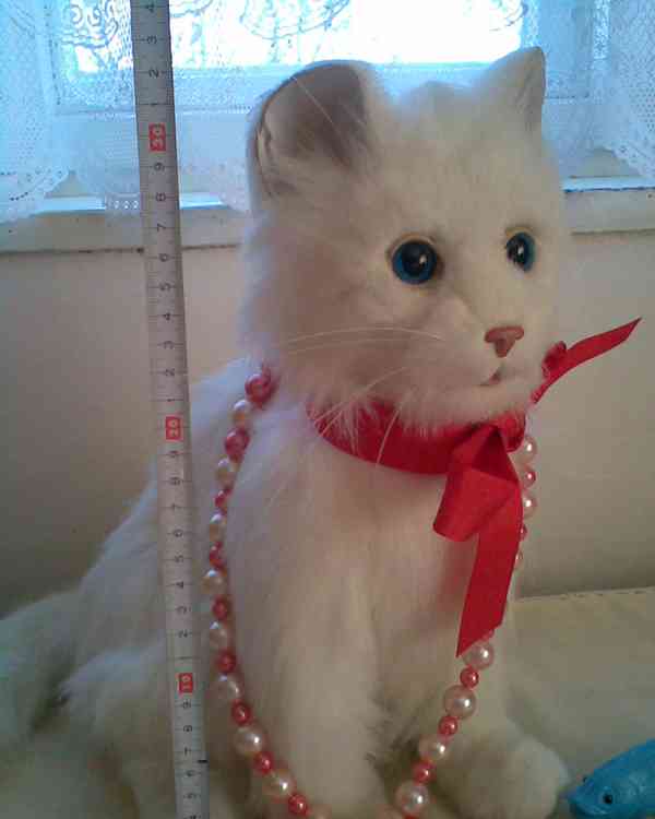 Nová bílá mechanická kočička - foto 1