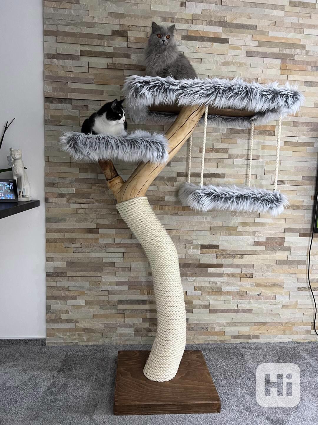 Kočičí strom s houpačkou - foto 1