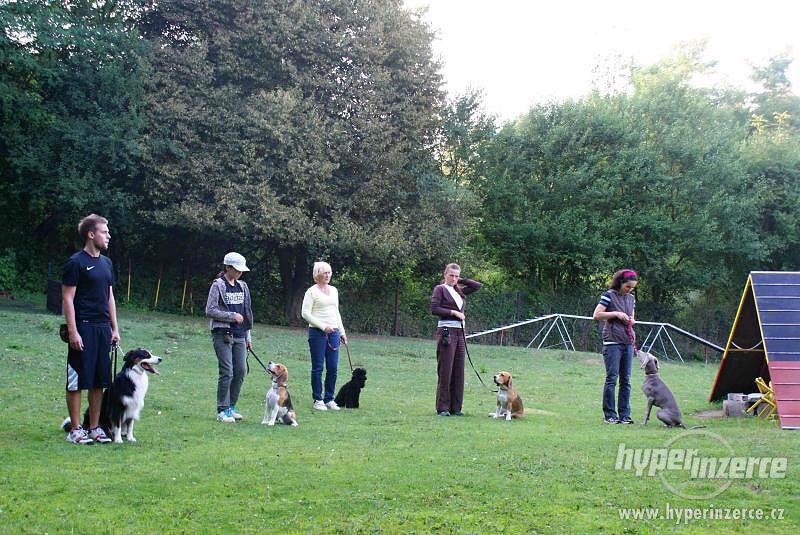 Výcvik psů - výcvikové středisko U Puntíků - foto 7