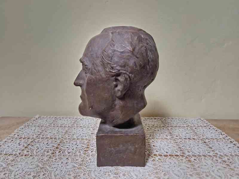 Busta Roosevelt - foto 5