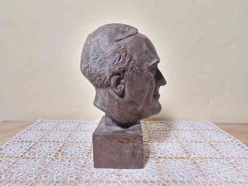 Busta Roosevelt - foto 9