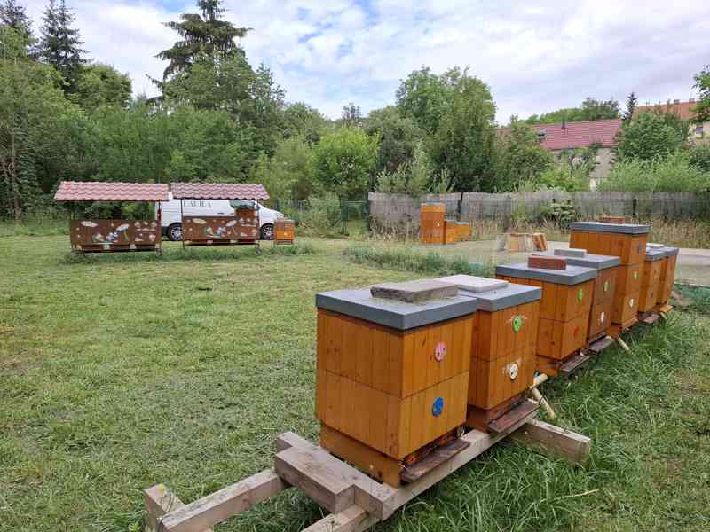 Včely s úly - foto 3