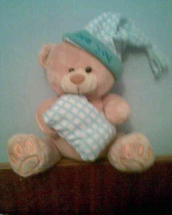 Retro sbírka medvídků - foto 4