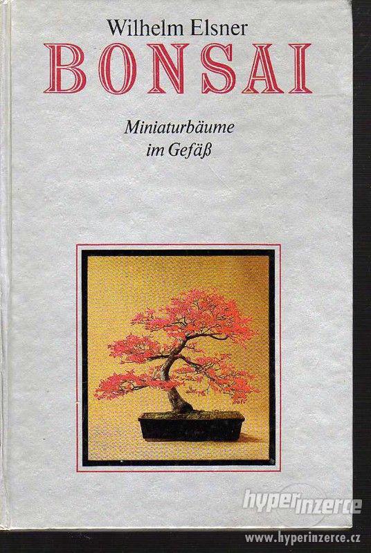 Bonsai : Miniaturbäume im Gefäss  Wilhelm Elsner -  Bonsai : - foto 1