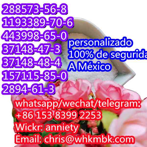whatsapp:+86 153 8399 2253 cas 288573-56-8 cas 1193389-70-6 - foto 2