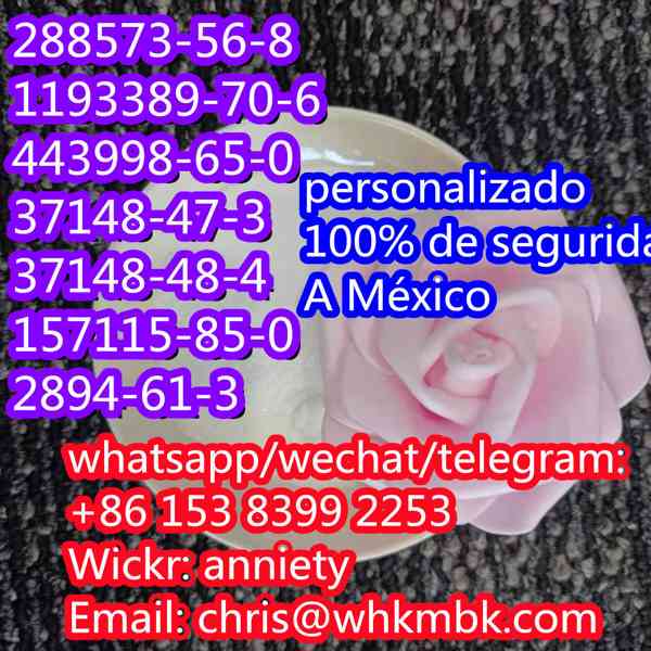 whatsapp:+86 153 8399 2253 cas 288573-56-8 cas 1193389-70-6 - foto 7