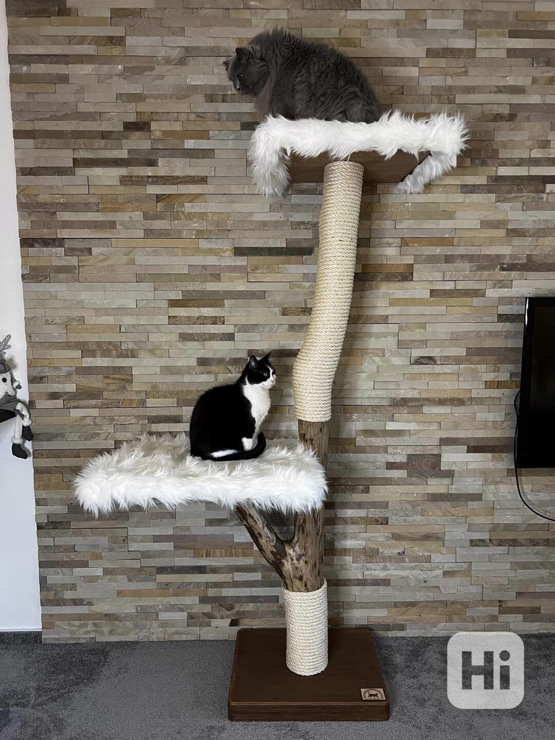 Škrabadla pro kočky  - foto 1