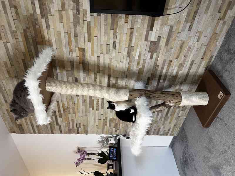 Škrabadla pro kočky  - foto 2