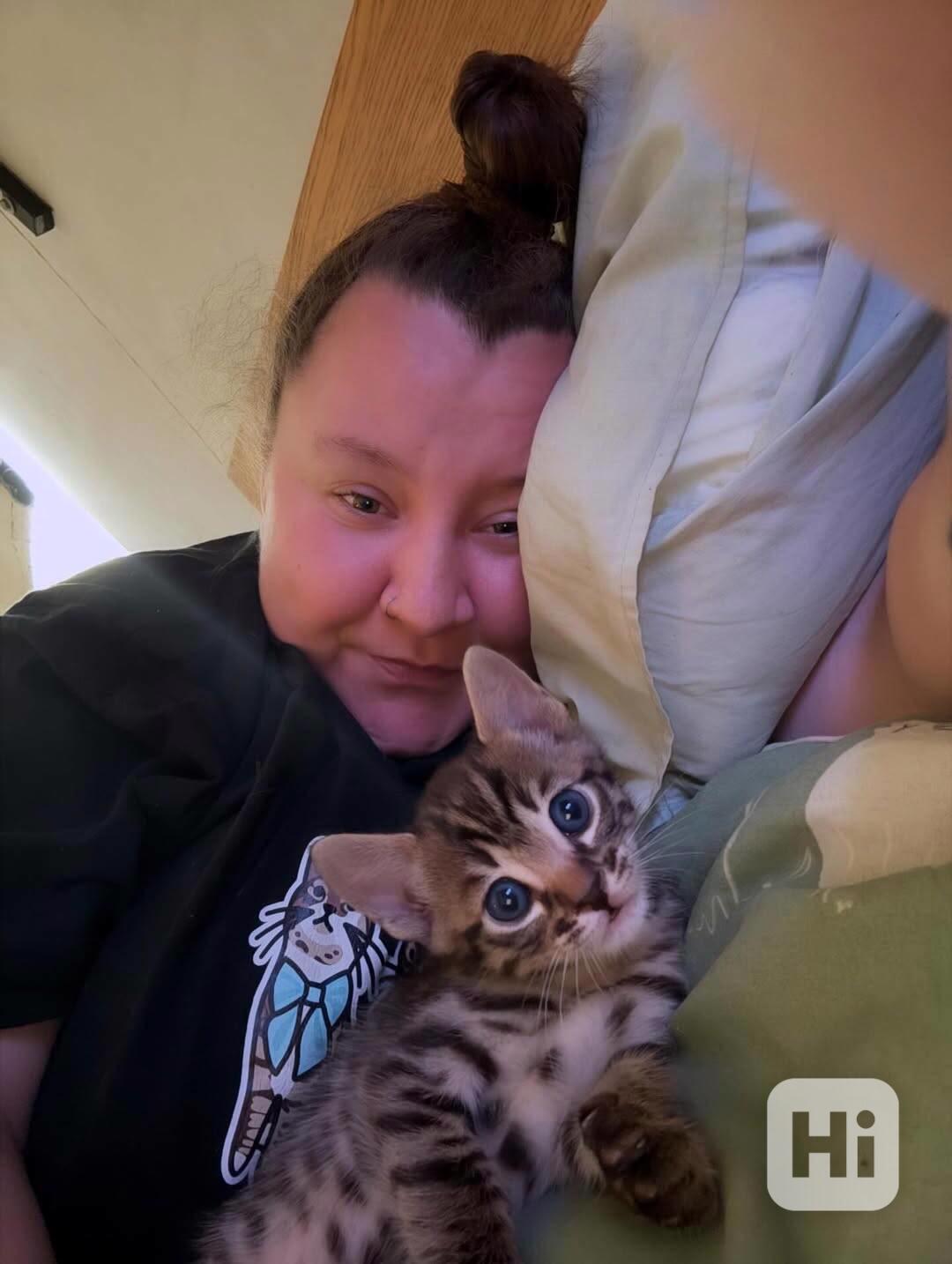 Úžasná čistokrevná bengálská koťata na prodej/adopci - foto 1