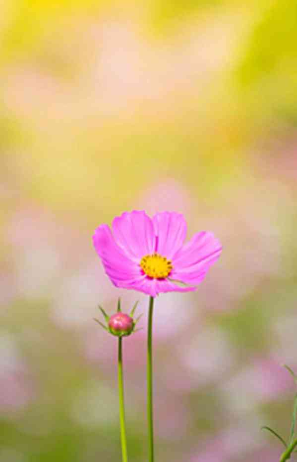 tyrtyrtyuytjuytduytu - foto 1