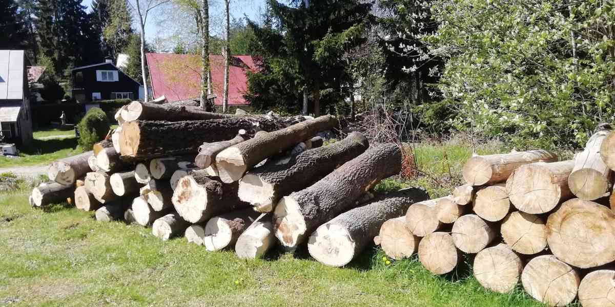 palivové dřevo - foto 2
