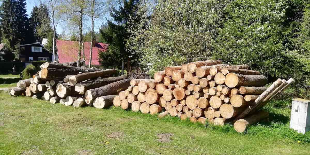 palivové dřevo - foto 1