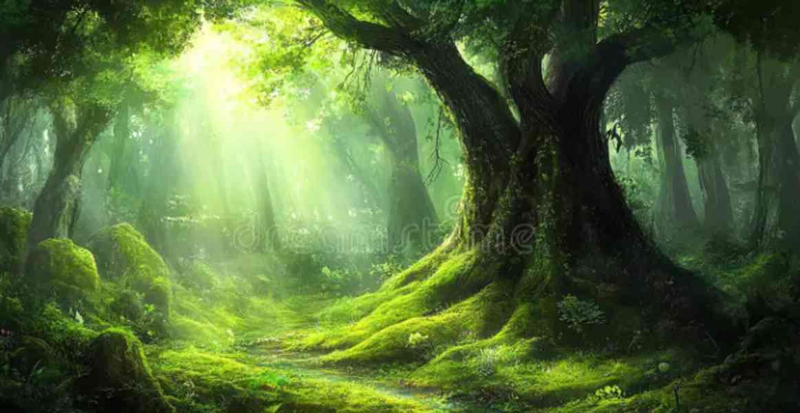 hnfghfghbfg - foto 1