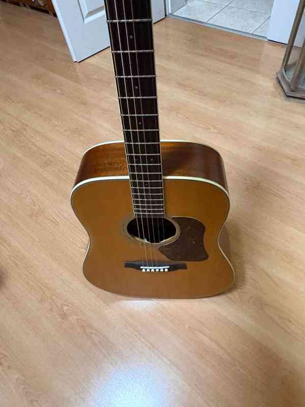 Prodám akustickou kytaru Walden Natura D670 - Dreadnought. - foto 14