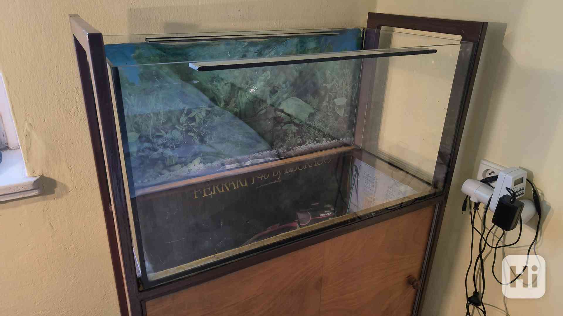 Akvarium - terarium 80 x 40 x 40 cm - foto 1