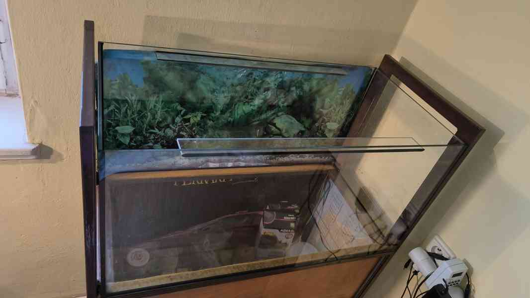 Akvarium - terarium 80 x 40 x 40 cm - foto 3