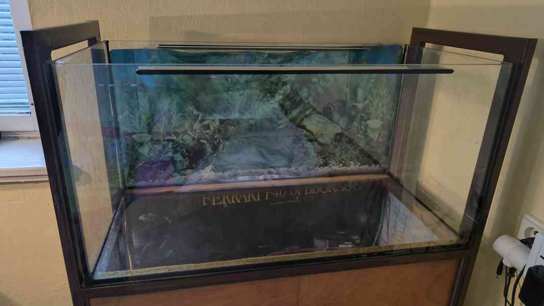 Akvarium - terarium 80 x 40 x 40 cm - foto 2