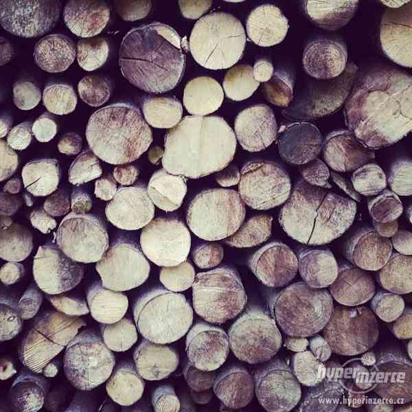 VYSCHLÉ palivové dřevo - foto 1