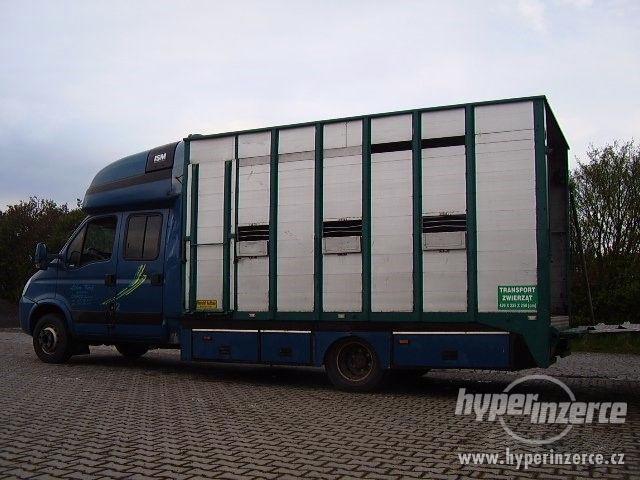 Iveco Daily 65C18 6míst ,pro 4 koně - foto 5