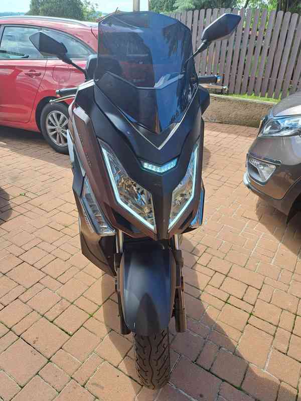 Taro CL125T hnědá - foto 2